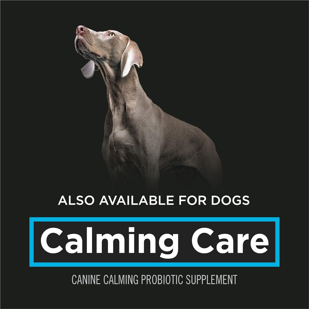Pro Plan Veterinary Diets Calming Care Cat Supplements Probiotic Powder for Behavioral Support, 30-Count Box Pro Plan Veterinary Diets