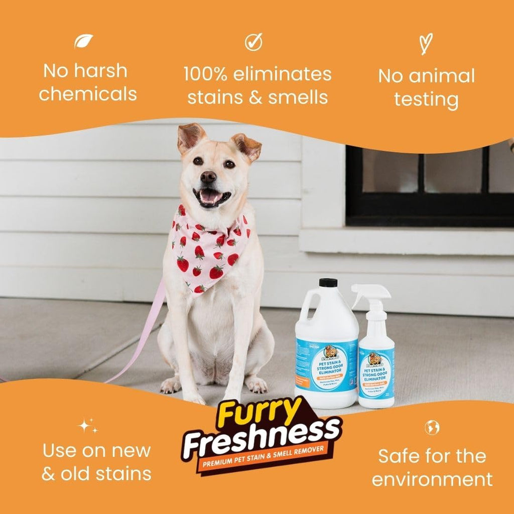 FurryFreshness Extra Strength Cat or Dog Pee Stain & Permanent Odor Remover + Smell Eliminator -Removes Stains from Pets & Kids Including Urine or Blood- Lifts Old Carpet Stains- 32oz Spray FurryFreshness