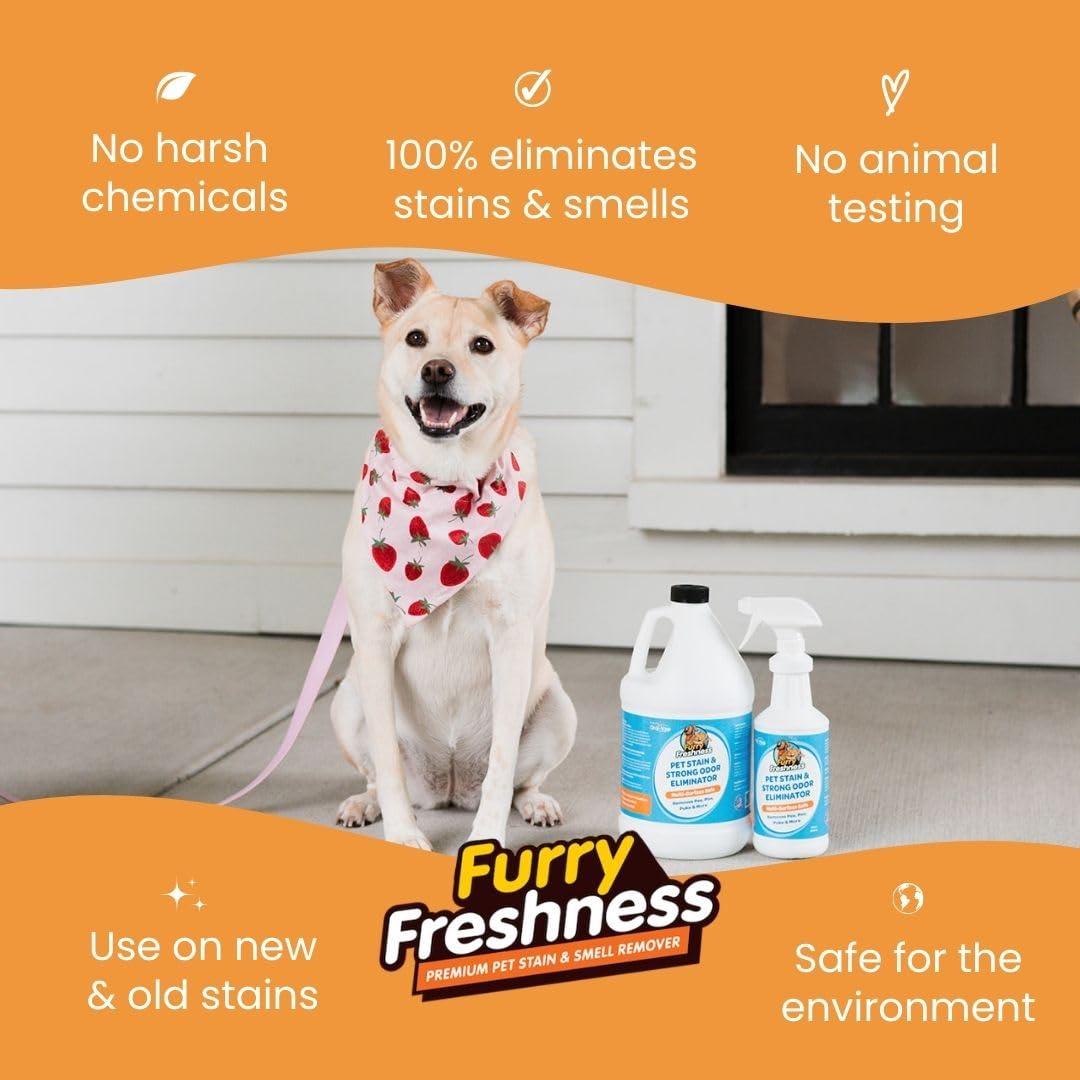 FurryFreshness Extra Strength Cat or Dog Pee Stain & Permanent Odor Remover + Smell Eliminator -Removes Stains from Pets & Kids Including Urine or Blood- Lifts Old Carpet Stains- 32oz Spray FurryFreshness