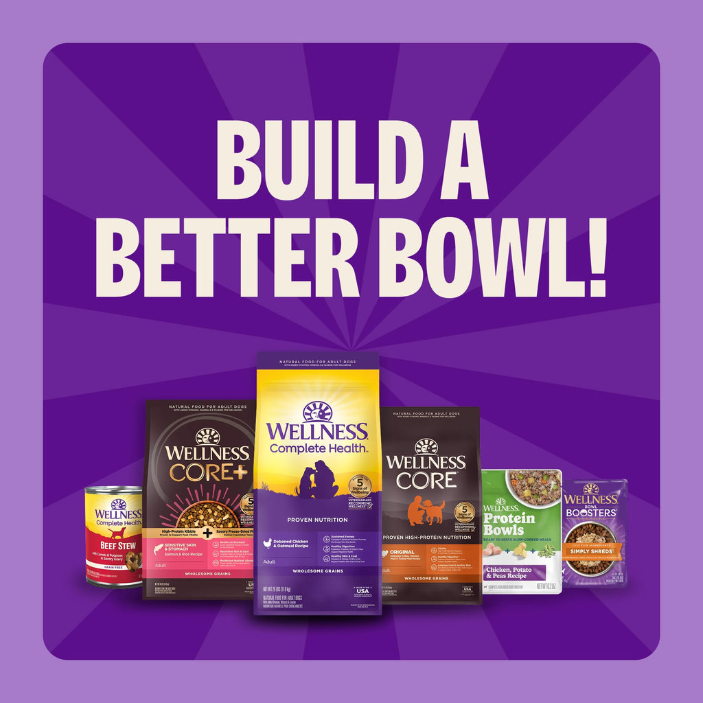 Wellness Complete Health Large Breed Adult Dry Dog Food, Wholesome Grain Kibble, Natural, Chicken and Brown Rice Recipe, 38 lb Bag Wellness