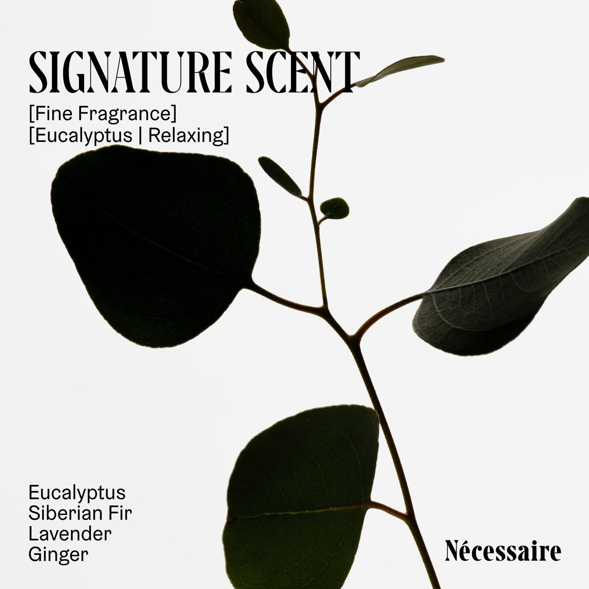 Nécessaire The Body Wash Eucalyptus — Multi-Oil Shower Gel Body Wash for Women + Men. Non-Comedogenic + Hypoallergenic for Sensitive Skin with Niacinamide. 500ml/16.9 fl oz Nécessaire