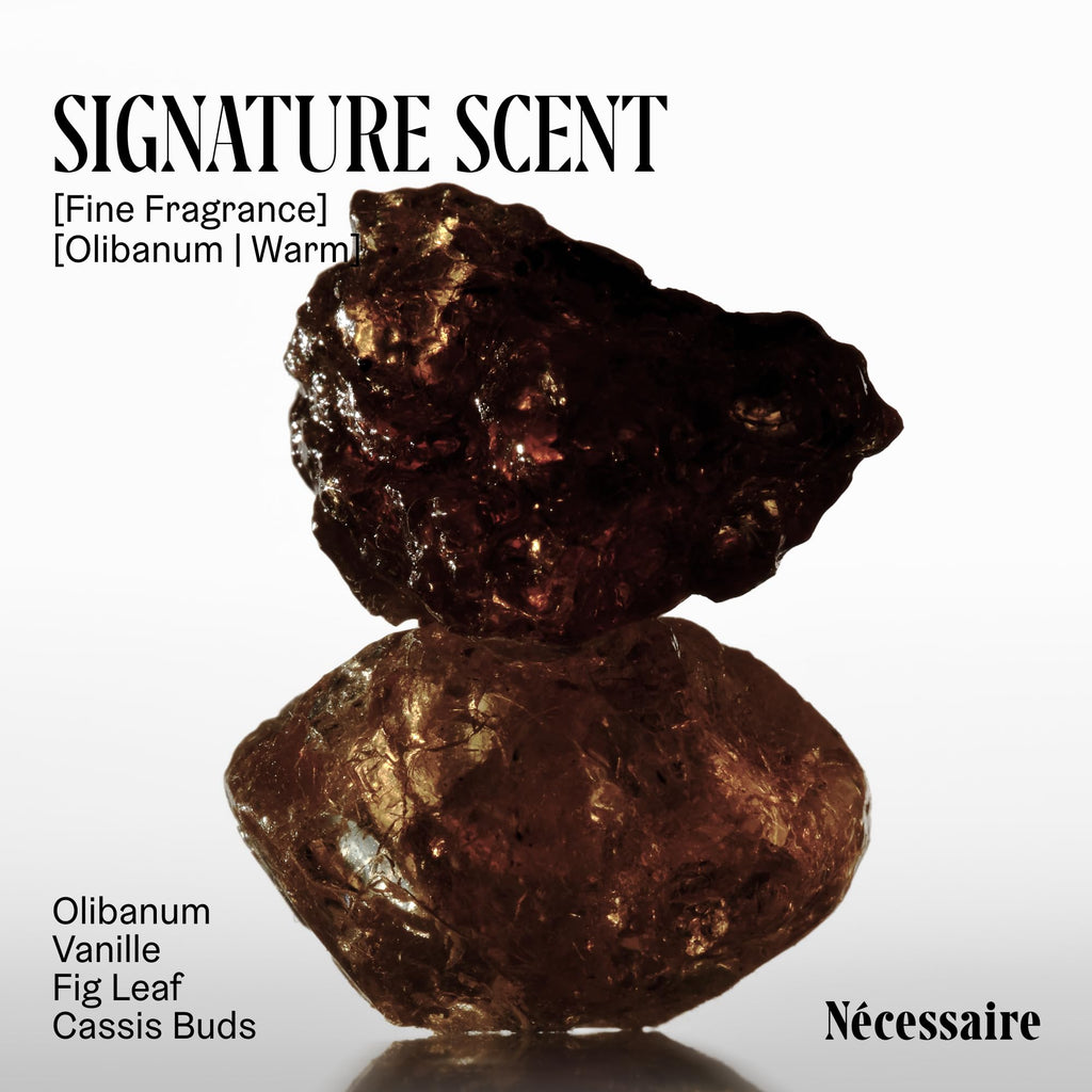 Nécessaire The Body Wash Olibanum - Multi-Oil Shower Gel Body Wash for Women + Men. Non-Comedogenic + Hypoallergenic for Sensitive Skin with Niacinamide. 8.4 Fl Oz. Nécessaire