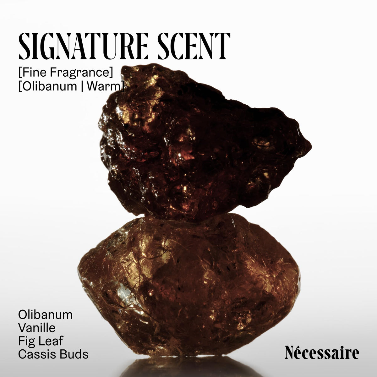 Nécessaire The Body Wash Olibanum - Multi-Oil Shower Gel Body Wash for Women + Men. Non-Comedogenic + Hypoallergenic for Sensitive Skin with Niacinamide. 8.4 Fl Oz. Nécessaire