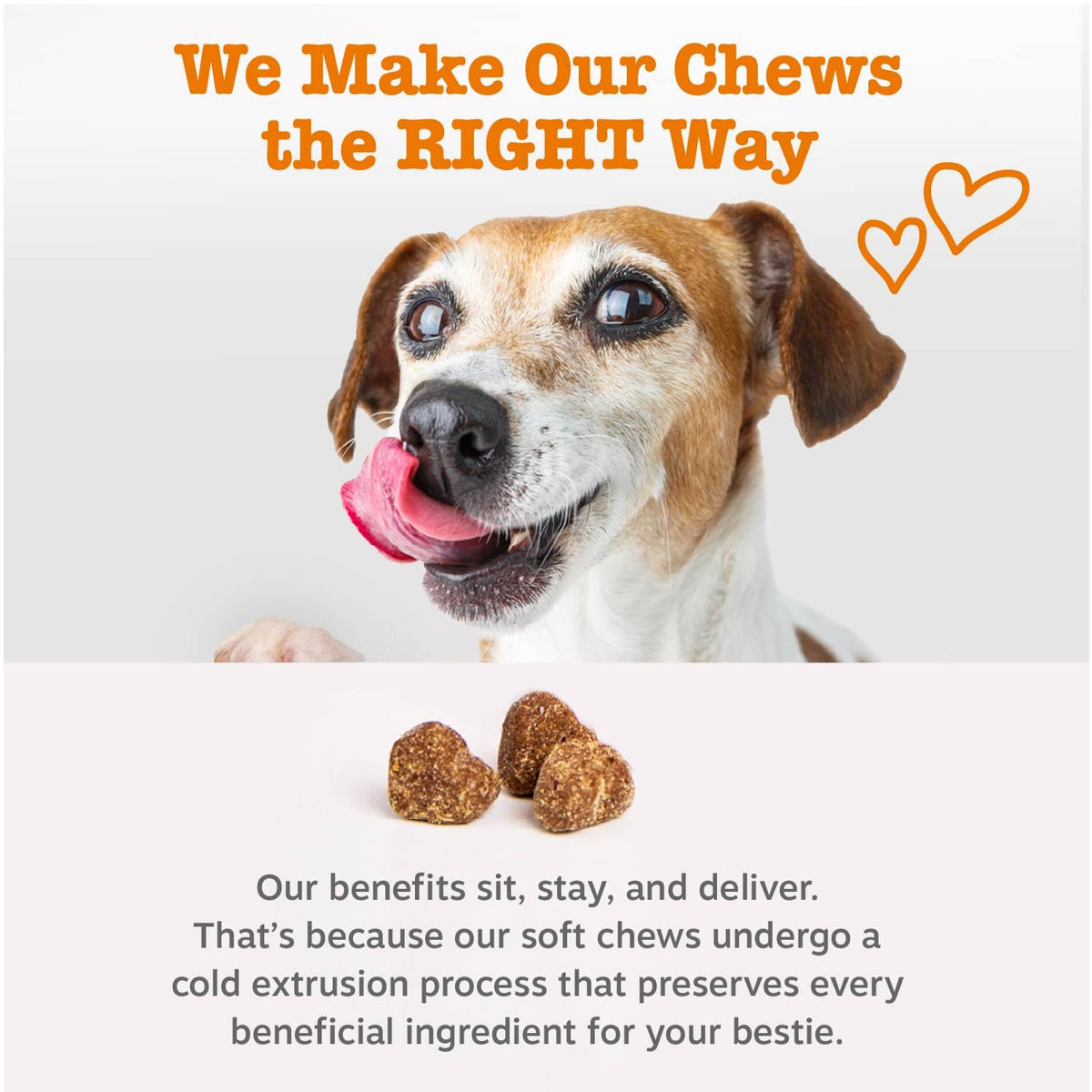 Zesty Paws Probiotics for Dogs - Digestive Enzymes for Gut Flora, Digestive Health, Diarrhea & Bowel Support - Clinically Studied DE111 - Dog Supplement Soft Chew for Pet Immune System - Pumpkin, 90ct Zesty Paws