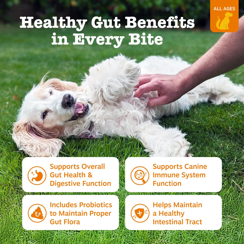 Zesty Paws Probiotics for Dogs - Digestive Enzymes for Gut Flora, Digestive Health, Diarrhea & Bowel Support - Clinically Studied DE111 - Dog Supplement Soft Chew for Pet Immune System - Pumpkin, 90ct Zesty Paws