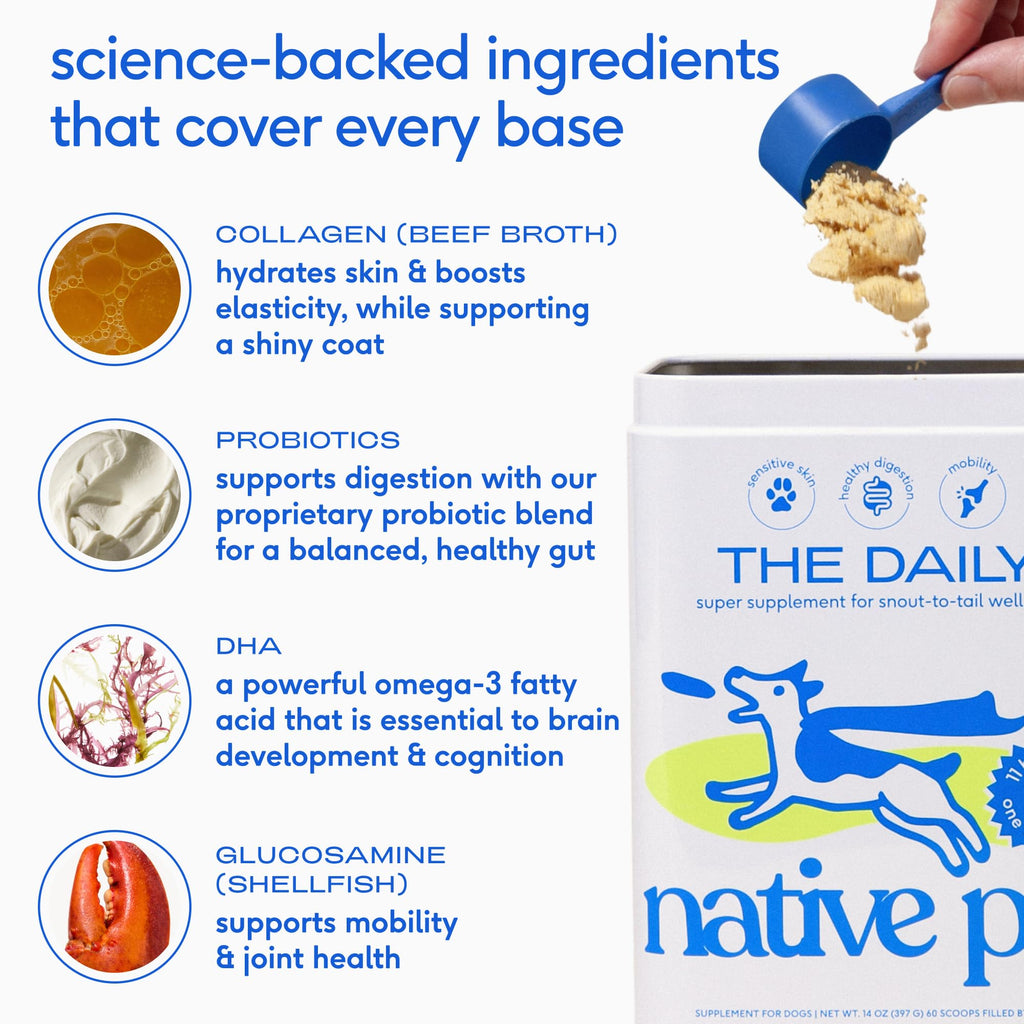 Native Pet Daily Wellness Bundle - Dog Vitamins and Supplements & Omega 3 Fish Oil Wild Alaskan Salmon Fish Oil for Dogs - 11-in-1 Multivitamin Powder Supports Joints, Gut, Skin, Coat & Heart Health Native Pet