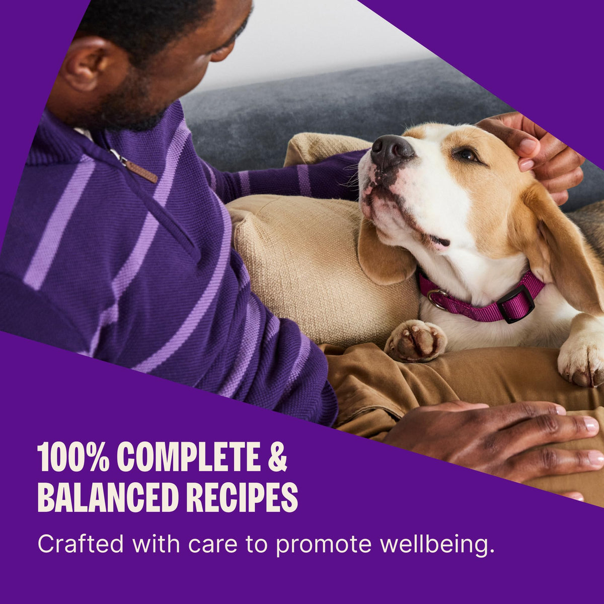 Wellness Complete Health Large Breed Adult Dry Dog Food, Wholesome Grain Kibble, Natural, Chicken and Brown Rice Recipe, 38 lb Bag Wellness