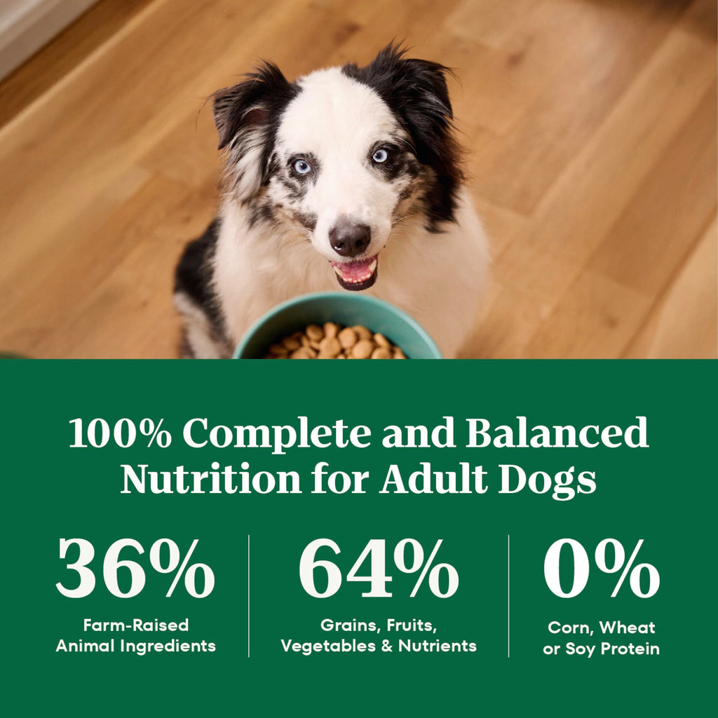 Nutro Natural Choice Dry Dog Food, Adult Healthy Weight Management Dog Food Dry Chicken and Brown Rice Recipe, 30 lbs. Nutro