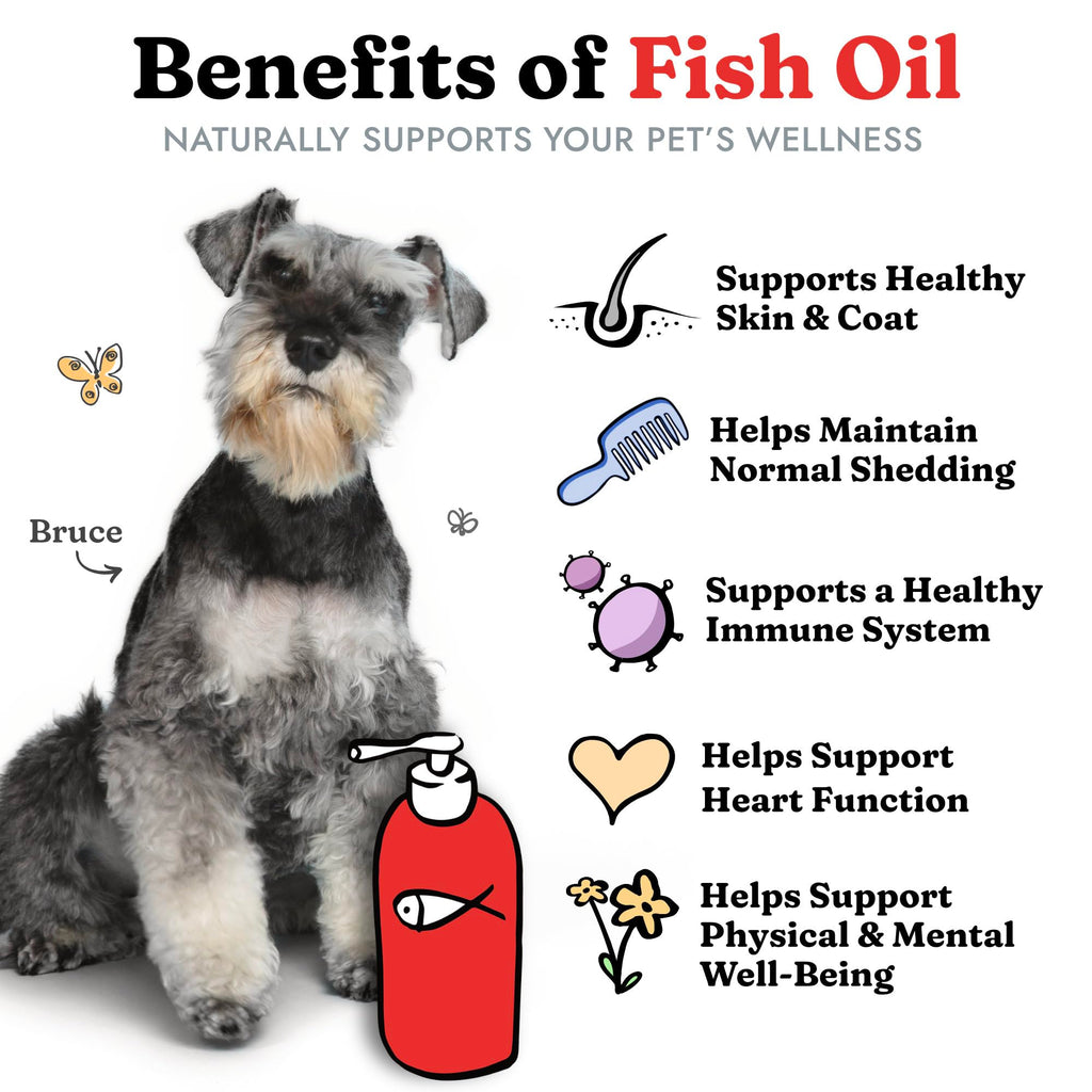 Fish Oil for Dogs, Healthy Skin & Coat Salmon Pollock Liquid Omega 3, 64 oz Vital Pet Life