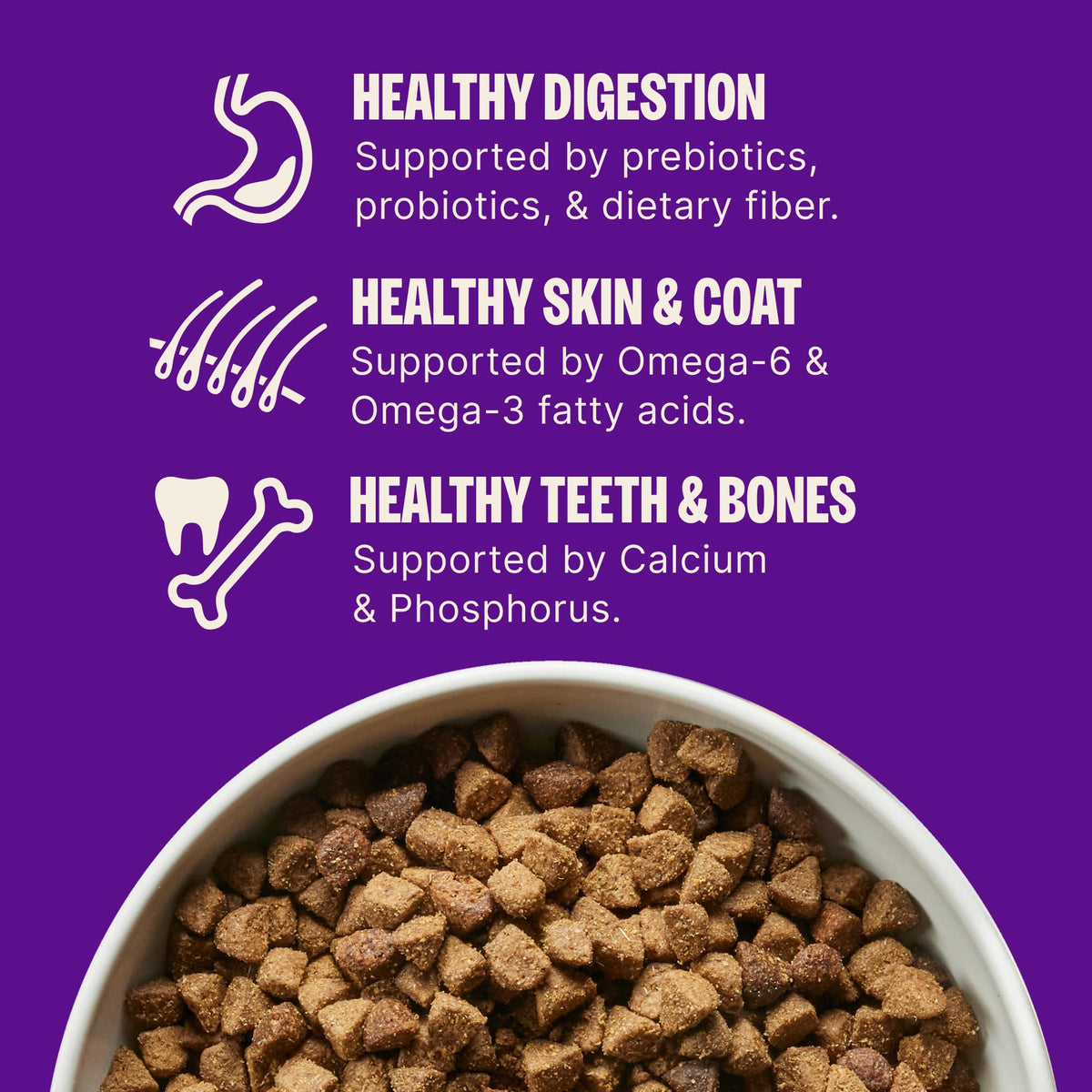 Wellness Complete Health Large Breed Adult Dry Dog Food, Wholesome Grain Kibble, Natural, Chicken and Brown Rice Recipe, 38 lb Bag Wellness
