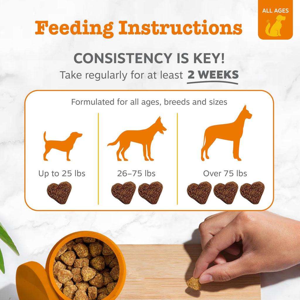 Zesty Paws Probiotics for Dogs - Digestive Enzymes for Gut Flora, Digestive Health, Diarrhea & Bowel Support - Clinically Studied DE111 - Dog Supplement Soft Chew for Pet Immune System - Pumpkin, 90ct Zesty Paws