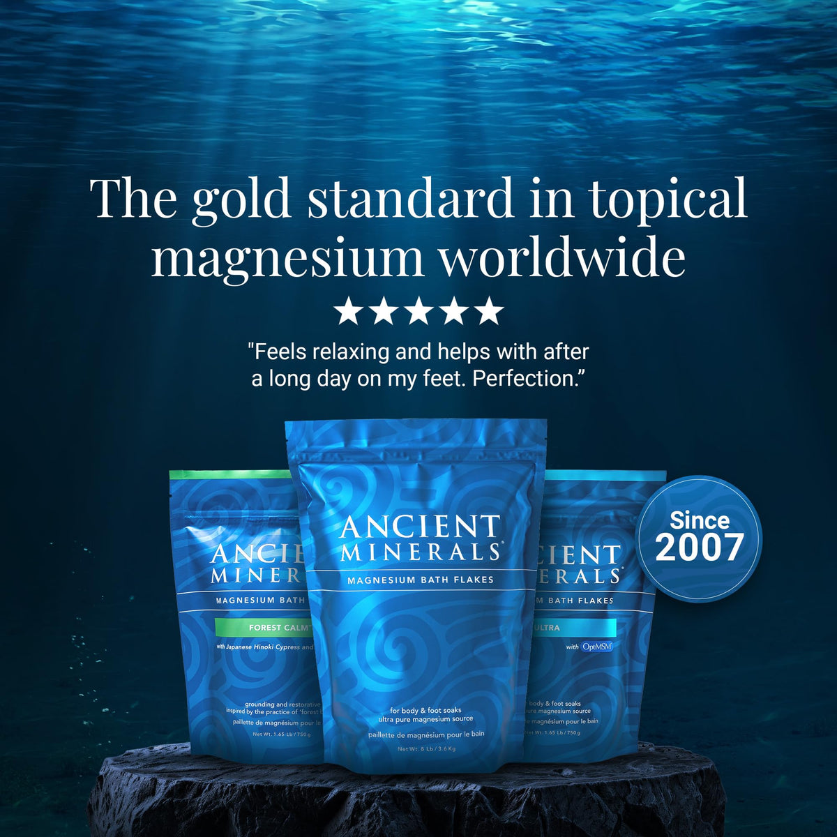 Ancient Minerals Magnesium Bath Flakes – Pure Zechstein Magnesium Chloride for Soaking and Whole-Body Replenishment (16 lb) Ancient Minerals
