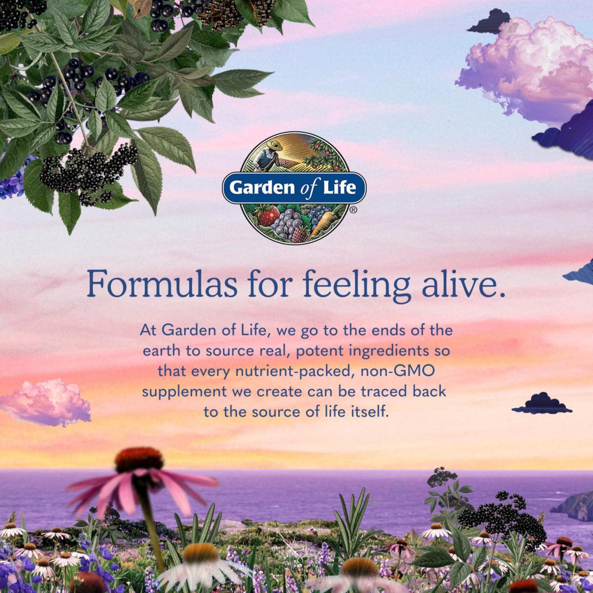 Garden of Life Dr. Formulated Once Daily Women's Probiotics with 50 Billion CFU & Organic Prebiotics – Vaginal Health, Digestive Support, Immune Support, Dairy Free, 30 Capsules Garden of Life